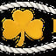 Scally's Irish Ale House
